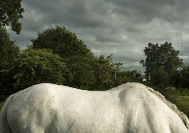 A different landscape ©zoe childerley